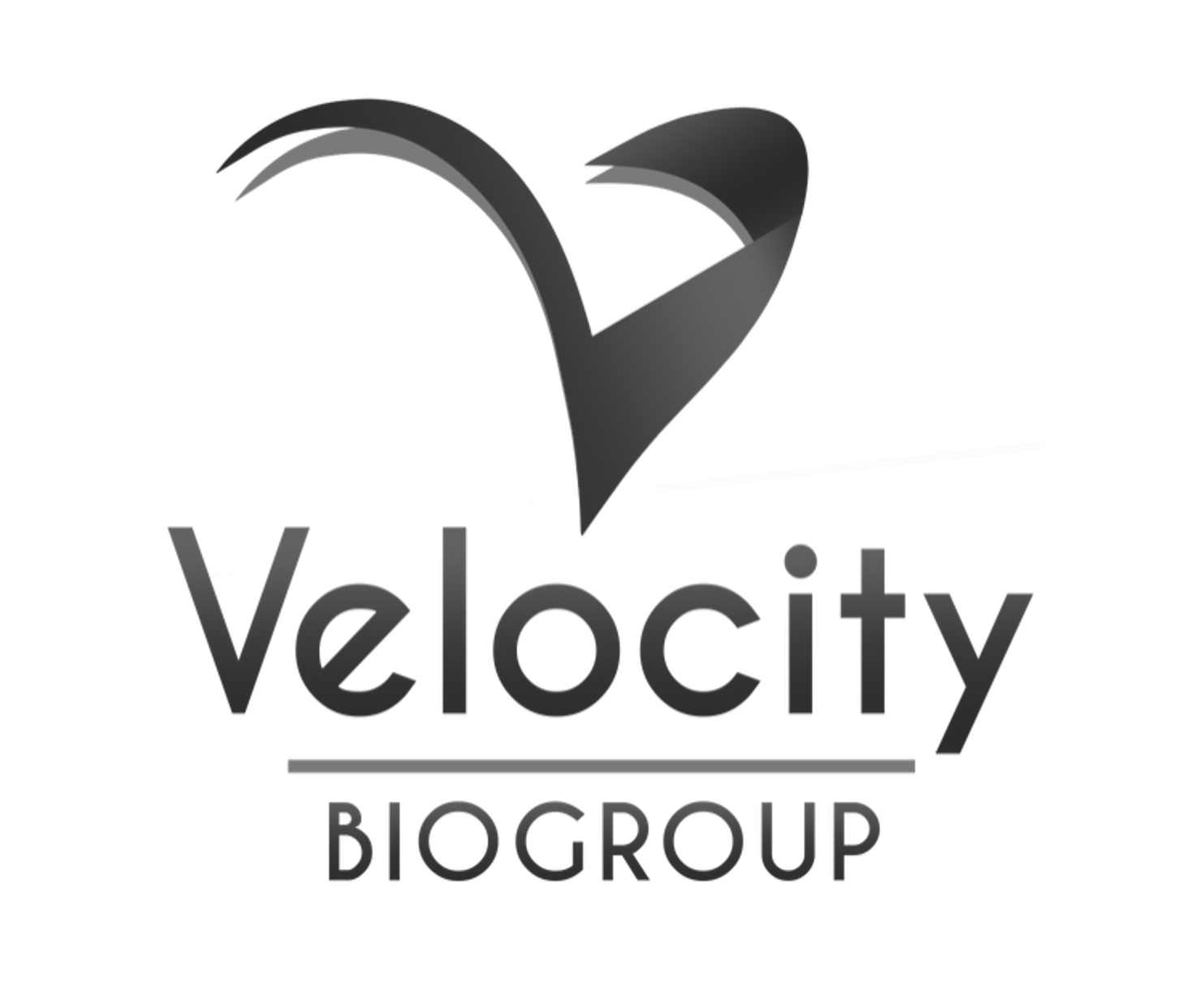 velocity biogroup